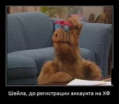 12.webp