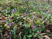 DSCF0788_1100.webp