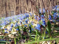 P3309559_1.webp