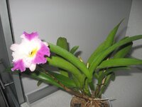 IMG_1551.jpg
