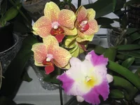 IMG_1561.webp