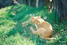 000037.webp