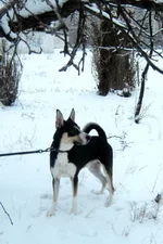 _январь2013 006.webp