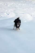_сентябрь2012 268.webp