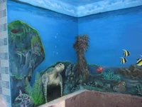 lqmKhMv5cgU.webp