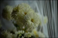 00012.webp