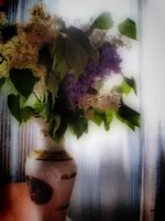 01 (1).webp
