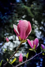01 (2).webp
