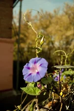 01 (7).webp