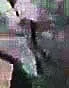 potolok_cr.webp