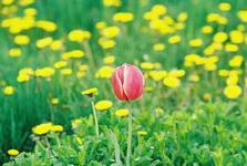 000014.webp