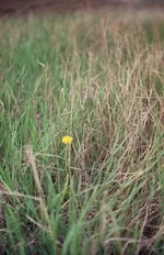 y_e318c416.webp