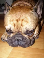 004.webp
