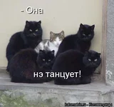 news_txtd.webp