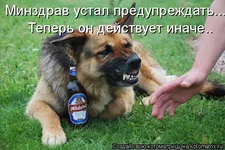 625328.webp