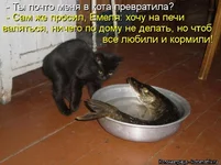 kotomatritsa_l.webp