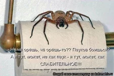 ApR.webp