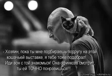 kotomatritsa_UZ.webp