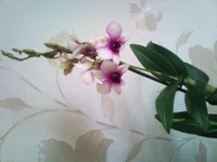 DSC_0055.webp
