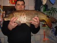 836473.webp