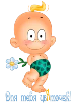 5.webp