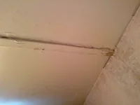 110220131038.webp