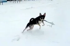 _видео10.bmp.webp