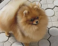 3(43).webp