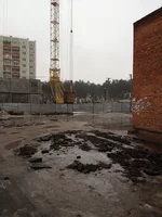 IMG_0264.webp