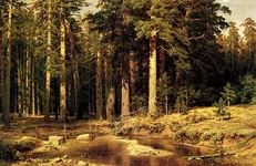 image001.webp