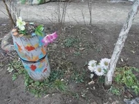 .webp