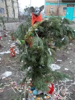 .webp