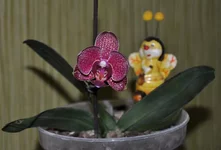DSC_8840.webp