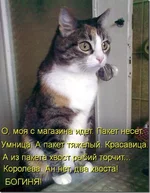 large.webp