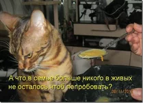 original.jpg2.webp