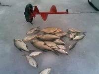 12022013(001).webp