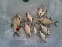 12022013(004).webp