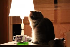 3YOiqMypx7o.webp
