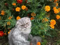 kUOnxQfWkGQ (1).webp