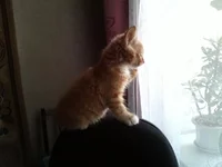 IMG1539.webp
