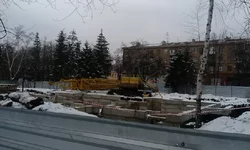 IMAG0104.webp