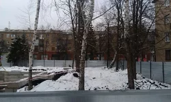 IMAG0105.webp