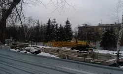 IMAG0107.webp