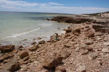 kolopolo 021a.webp