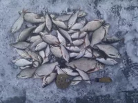 IMG_20130216_160449.jpg