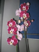 IMG_1572.webp