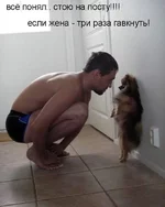 116197142.webp