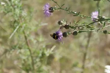 DSC00087.webp