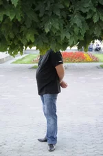  деревья.webp