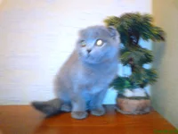 DSC00149.JPG
